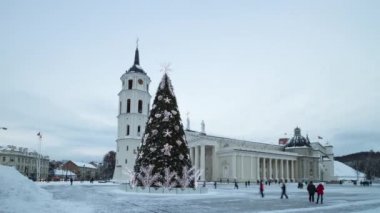Noel ağacı, Vilnius, Litvanya, hızlandırılmış katedral Meydanı