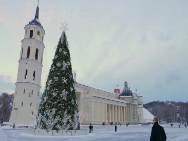 Noel ağacına Cathedral Square Vilnius, Litvanya — Stok video