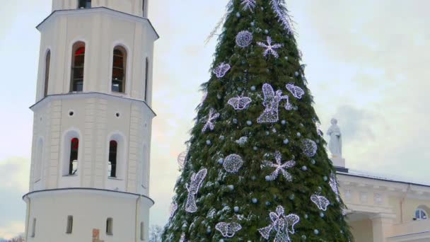 Weihnachtsbaum auf dem Domplatz in Vilnius, Litauen — Stockvideo