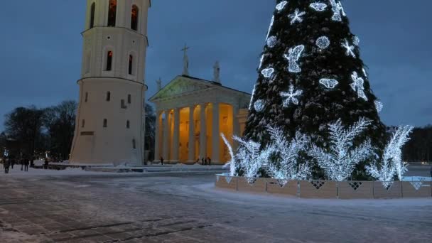 Рождественская елка на Соборной площади в Вильнюсе — стоковое видео