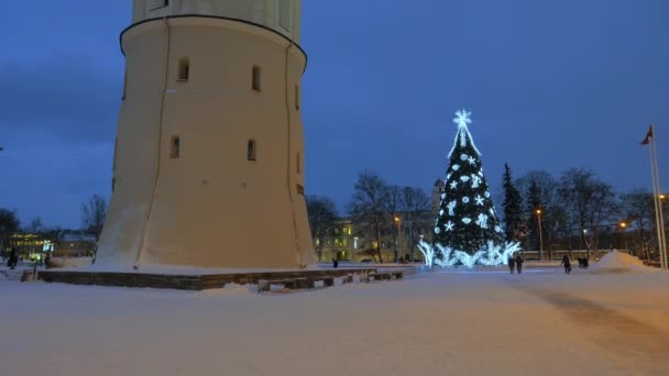 在立陶宛维尔纽斯大教堂广场上的圣诞树 — 图库视频影像
