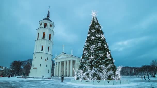 在立陶宛维尔纽斯延时大教堂广场上的圣诞树 — 图库视频影像