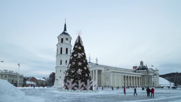 Рождественская елка на Соборной площади в Вильнюсе, Литва, время — стоковое видео