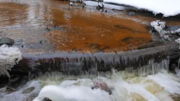 Panorama invernale sul fiume — Video Stock