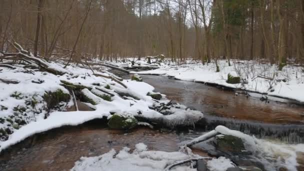 Hiver panorama rivière — Video