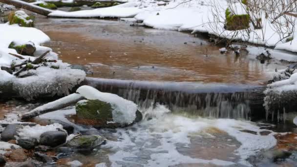 Winter river panorama — Stock Video