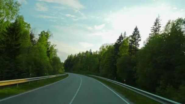 Forest road en de zon — Stockvideo