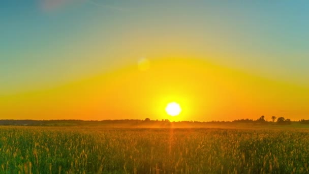 Закат над полем, панорамный тайм-ап — стоковое видео