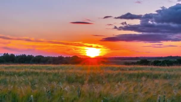 Paisagem rural e faixas horárias do pôr do sol — Vídeo de Stock