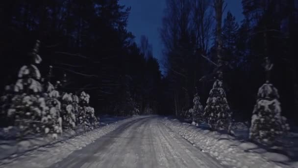 Orman kış gece yolu ile seyahat — Stok video