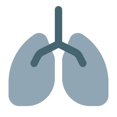 Beyaz arkaplanda insan akciğerleri logosu ve yerleşimi izole edildi