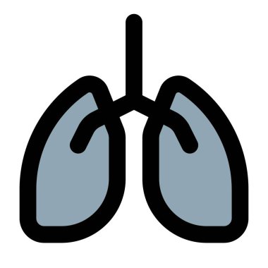 Beyaz arkaplanda insan akciğerleri logosu ve yerleşimi izole edildi