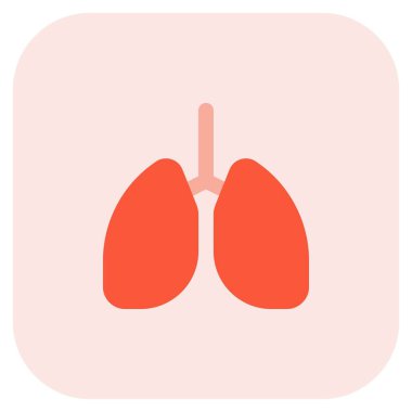 Beyaz arkaplanda insan akciğerleri logosu ve yerleşimi izole edildi