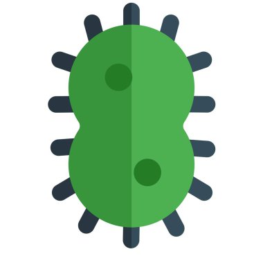 Bakteriler, tek cinsiyetli bir yapıdan birbirlerinden kopyalanırlar.