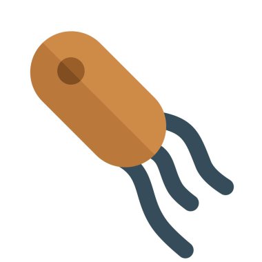 Bakteriyel konak yerleşimi olan üçlü iplik virüsü