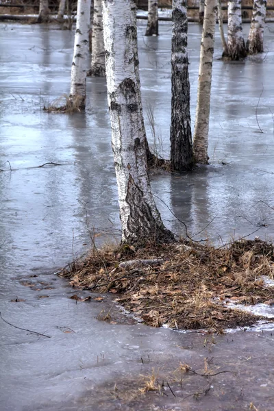 Ice. rivier. Winter. — Stockfoto