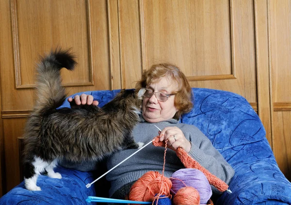 Die alte Frau sitzt im Sessel und streichelt eine Katze Stockbild