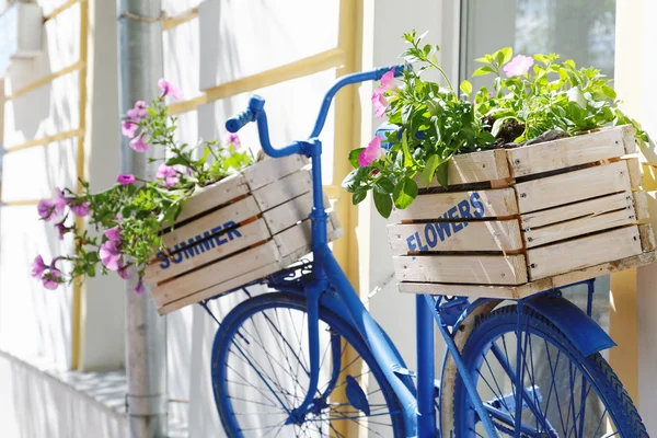 Altes Fahrrad mit Blumenkasten lizenzfreie Stockbilder