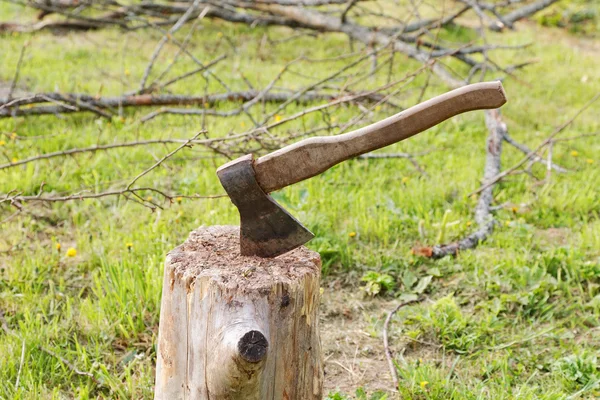斧し、昔の草の上の木の枝 — ストック写真