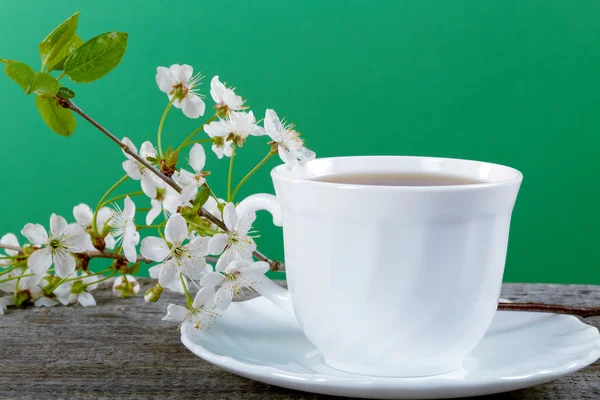 Beyaz fincan çay bir kiraz çiçekleri ile — Stok fotoğraf