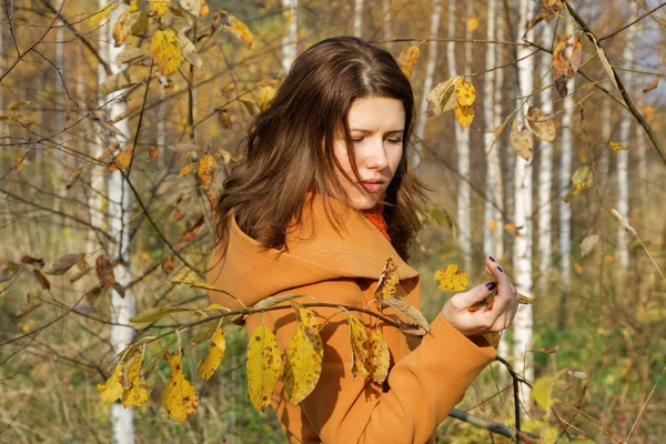 The girl among young birches in the autumn — Stock Photo, Image