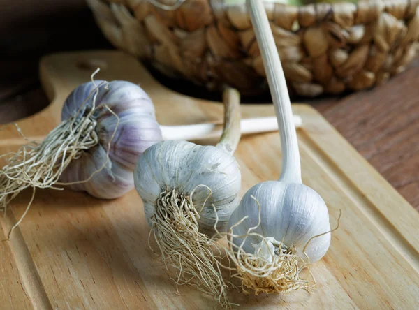 Cabeza de ajo en la mesa rústico — Foto de Stock