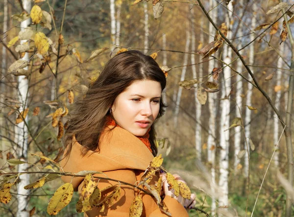 La ragazza tra betulle giovani nell'autunno — Foto Stock