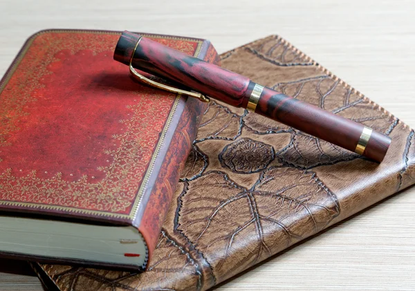 Il libro di scrittura in una copertura di pelle e una penna — Foto Stock