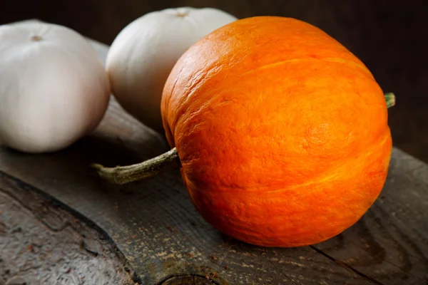 Blanc et une citrouille orange sur de vieux planches — Photo