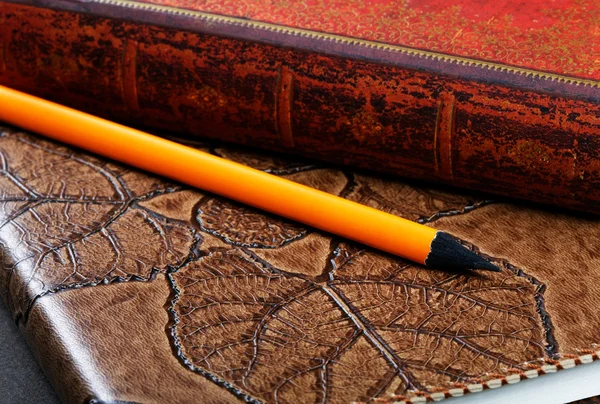 Hromadu notebooků v kožené kryty a tužku zblízka — Stock fotografie
