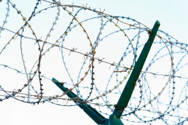 Koruma Bölge dikenli prowolf korumalı.