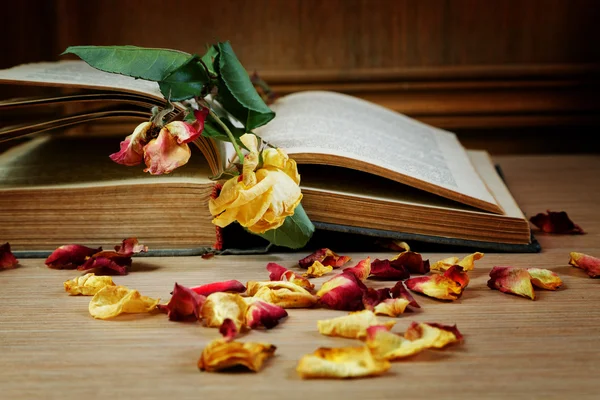 Torr rose och gamla boken på ett bord — Stockfoto
