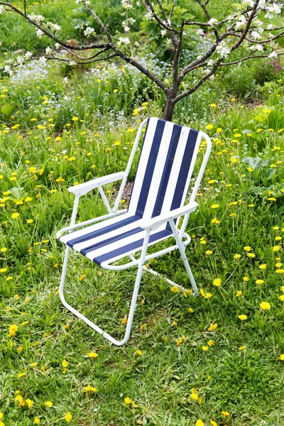 Chaise pliante sous un pommier en fleurs Photo De Stock