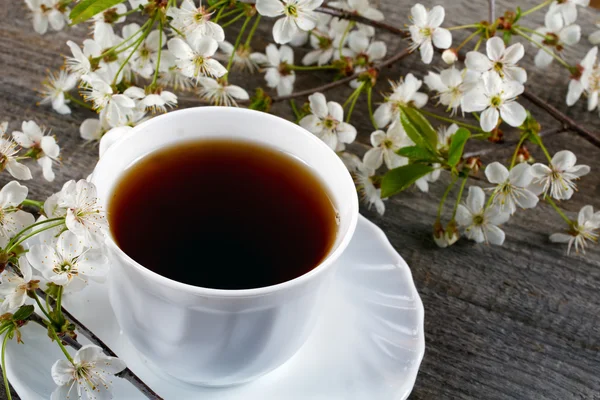 Bílý šálek čaje s květinami cherry — Stock fotografie
