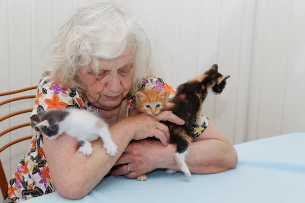 A avó segurando três gatinhos — Fotografia de Stock