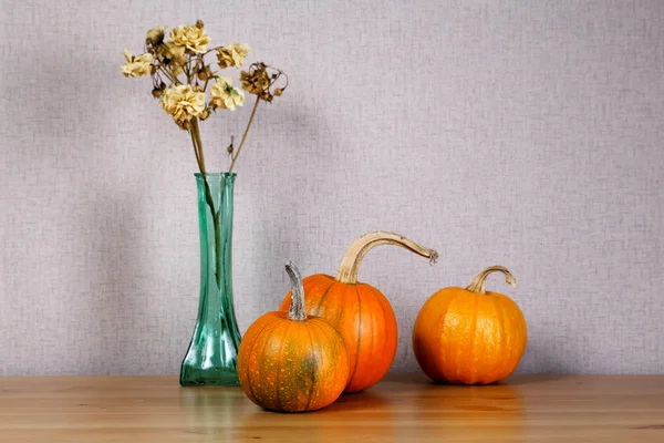 Bodegón con calabazas pequeñas y un ramo de flores secas — Foto de Stock