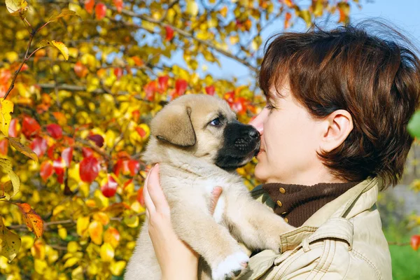 The puppy of the Spanish mastiff licks a woman's face — Stock Photo, Image