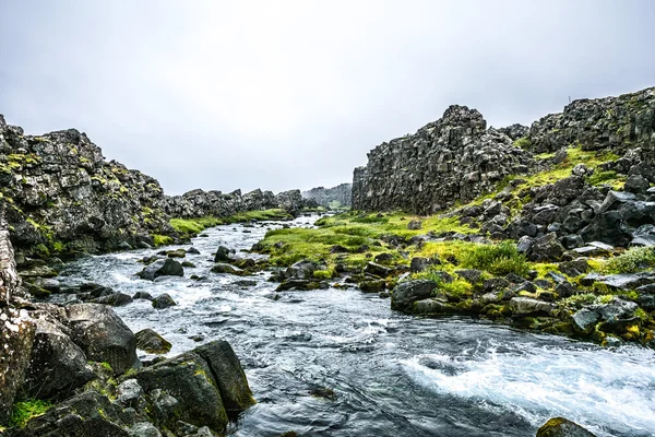 Ruisseau d'été islandais — Photo