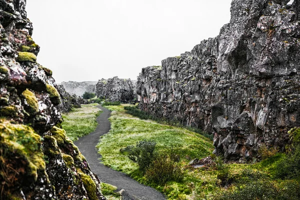 Islandský trai do skalnatého kaňonu — Stock fotografie