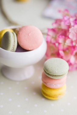 renkli macaron kurabiye
