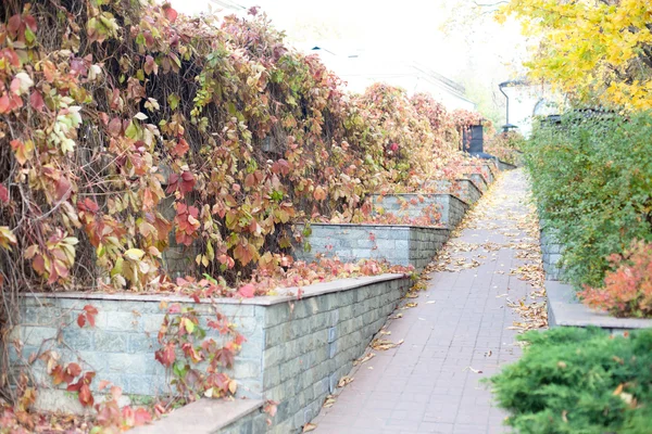 Alte Treppe im Herbst — Stockfoto