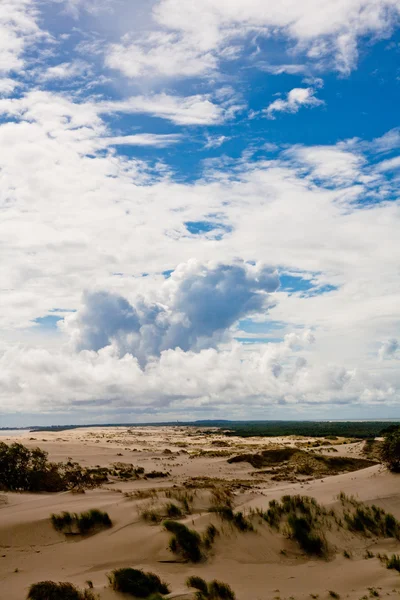 Sand baltiska sanddyner — Stockfoto