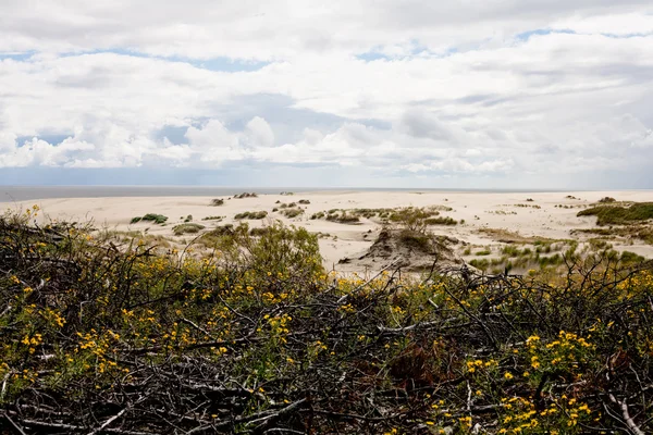 Dunas de areia — Fotografia de Stock