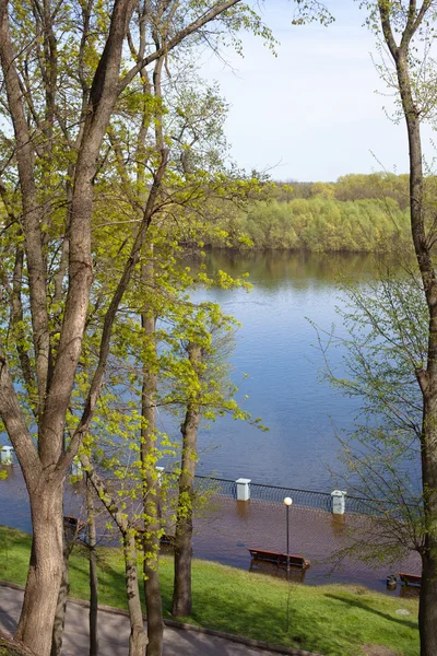 Frühjahrshochwasser — Stockfoto