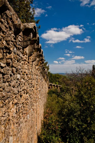 Middeleeuwse muur en bomen — Stockfoto