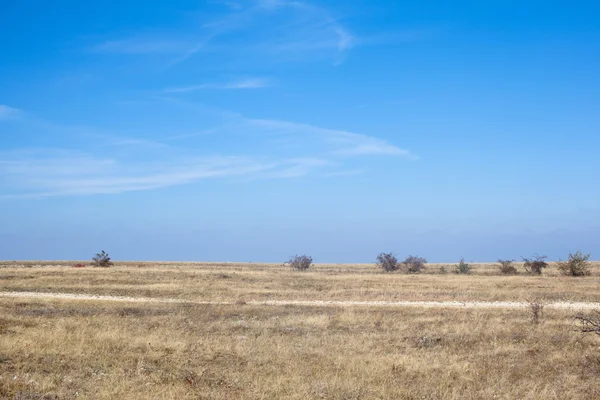 Steppe — Stock Photo, Image