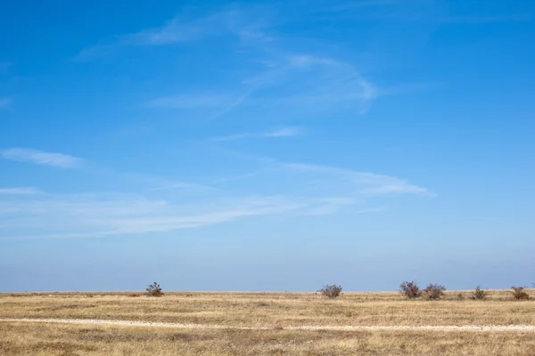 Steppe — Stockfoto