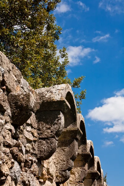 Middeleeuwse muur en bomen — Stockfoto