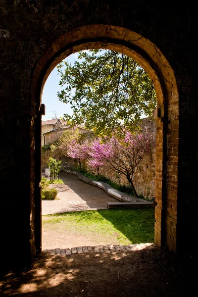 Старая каменная арка и сад — стоковое фото