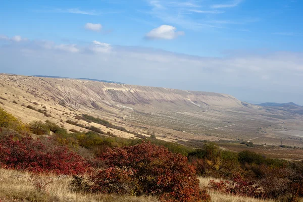 Valley — Stock Photo, Image